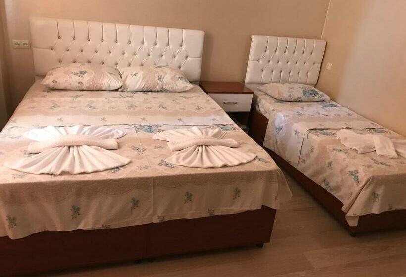 اتاق استاندارد سه نفره, Eurasia