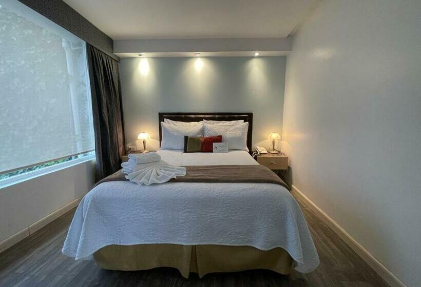 수피리어 룸, Shalom