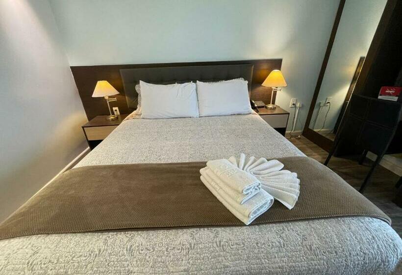 수피리어 룸, Shalom