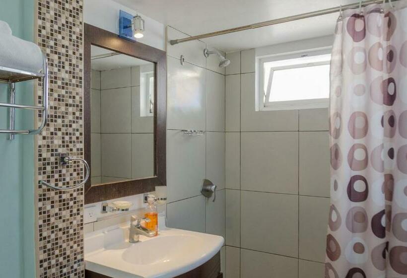 수피리어 룸, Shalom