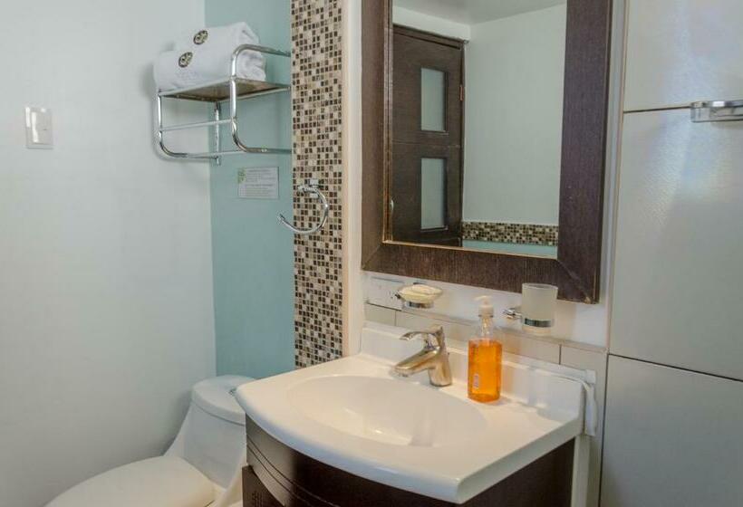 수피리어 룸, Shalom