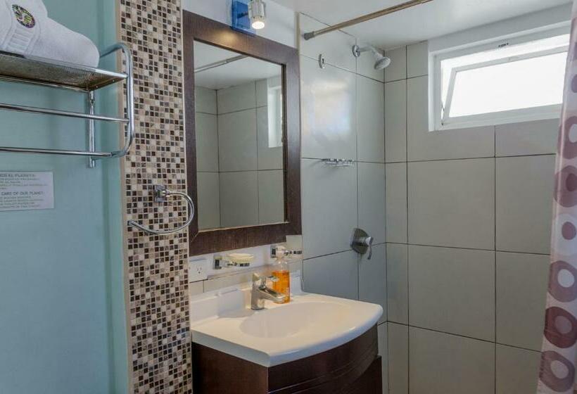 수피리어 룸, Shalom