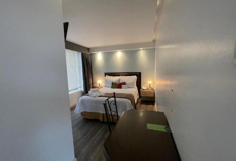 수피리어 룸, Shalom