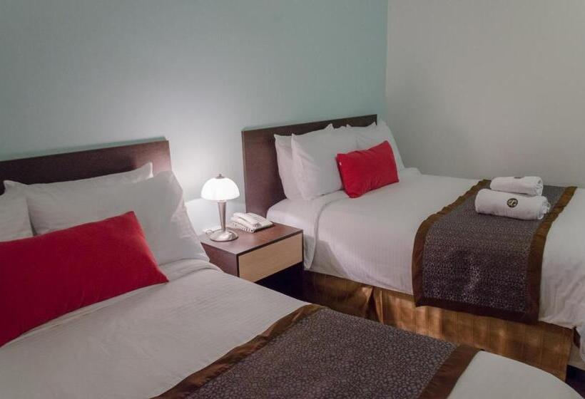 4인용 스탠다드 룸, Shalom