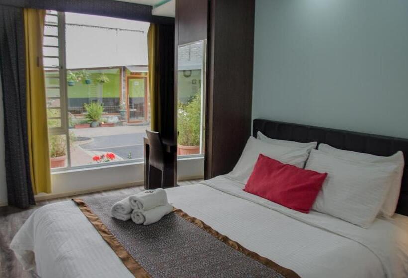 수피리어 룸, Shalom