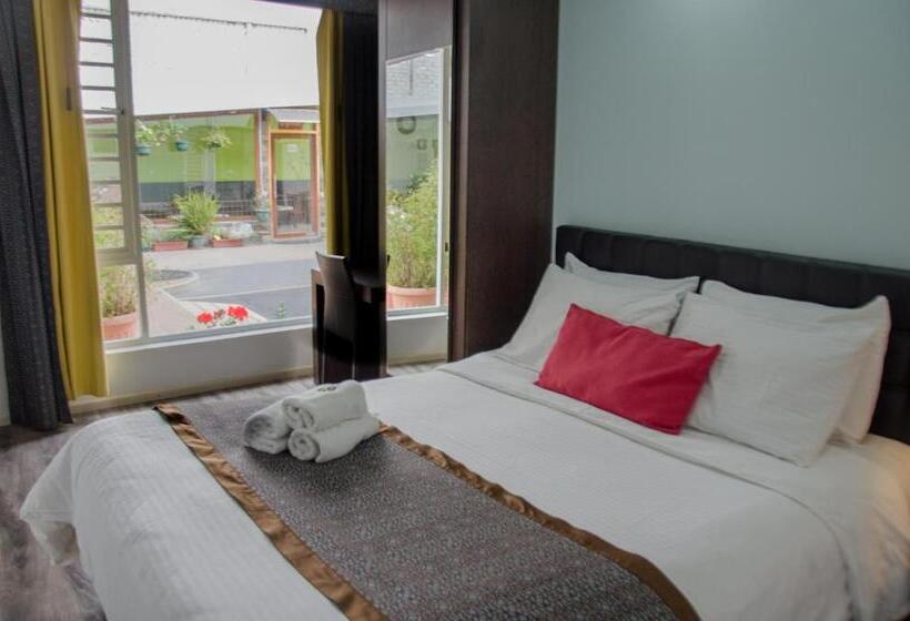 수피리어 룸, Shalom