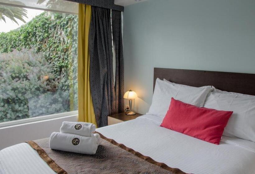 수피리어 룸, Shalom