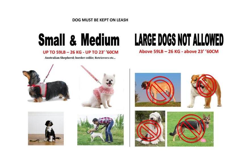 חדר דלוקס עם מיטת קינג, The Clarendon