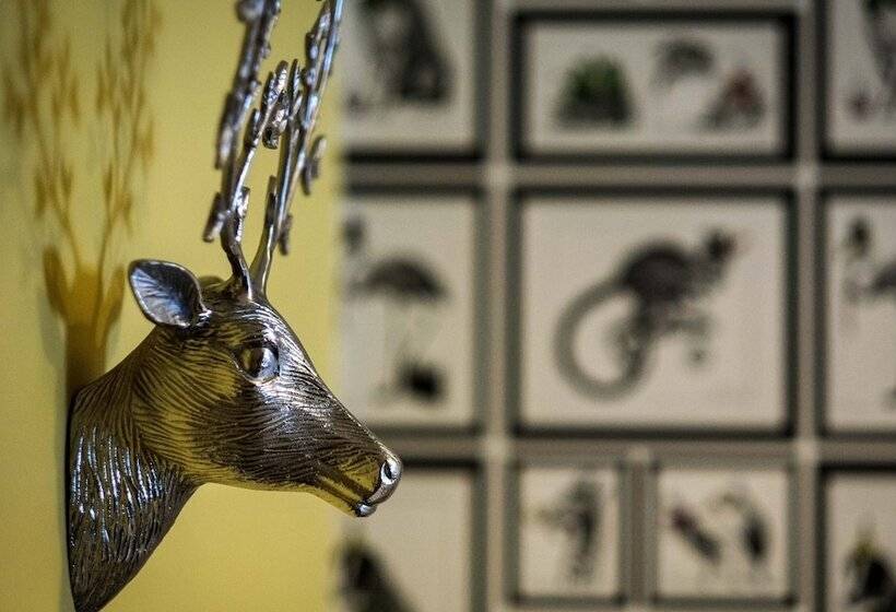 غرفة قياسية, The Coach House Inn