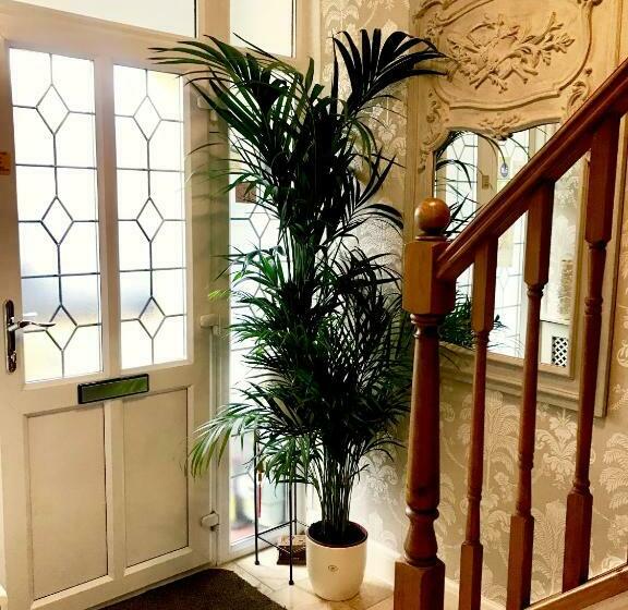 スタンダードルーム, Sw Bed & Breakfast