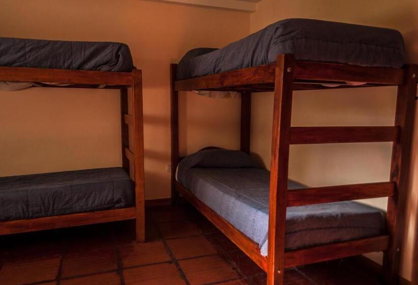 اتاق استاندارد چهار تخته, Calafate Hostel