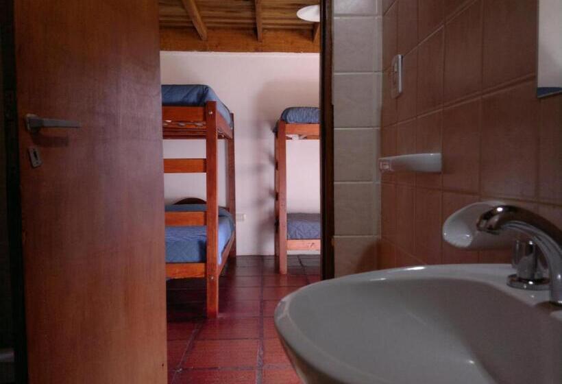 اتاق راحتی سه تخته, Calafate Hostel