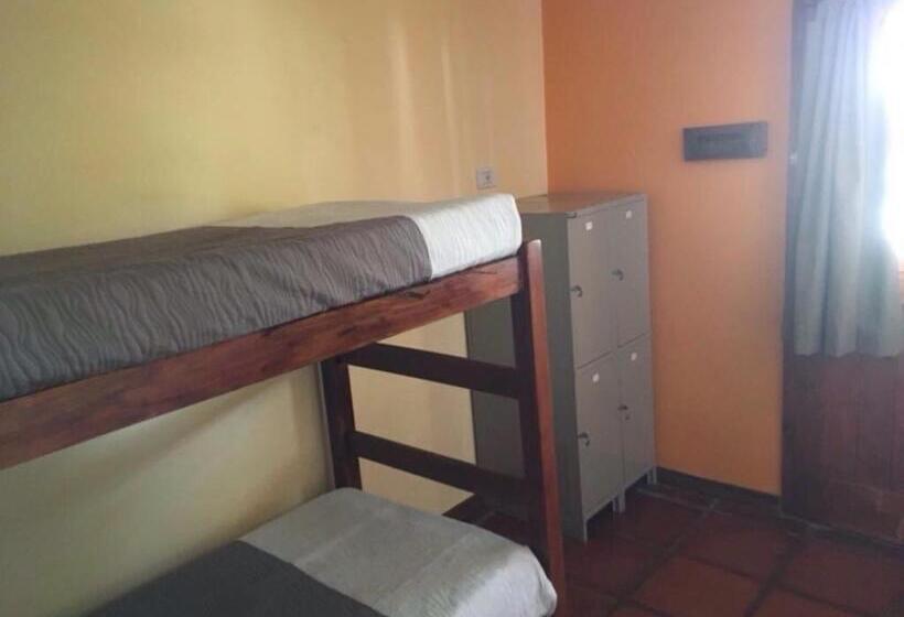 اتاق استاندارد یک تخته با سرویس بهداشتی مشترک, Calafate Hostel