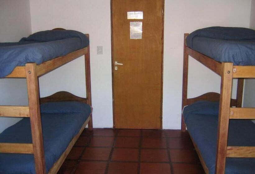 اتاق استاندارد یک تخته با سرویس بهداشتی مشترک, Calafate Hostel