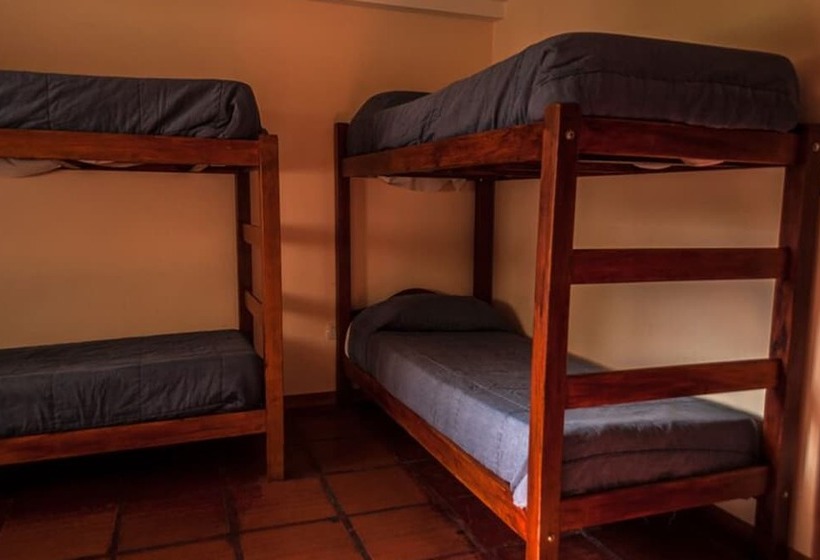 Кровать в Многоместном Номере с Общей Ванной, Calafate Hostel