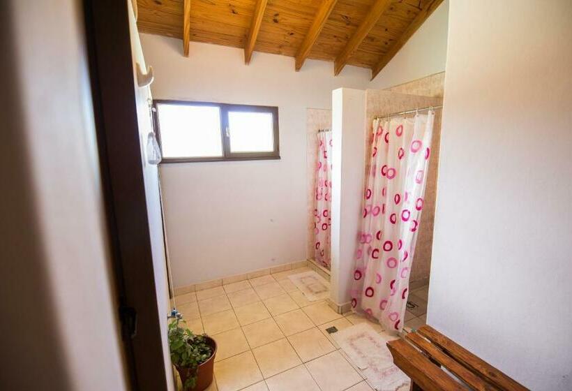 سرير فى غرفة مشتركه, Hostel Nakel Yenu