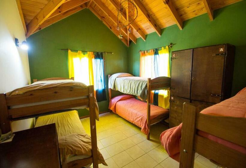 سرير فى غرفة مشتركه, Hostel Nakel Yenu