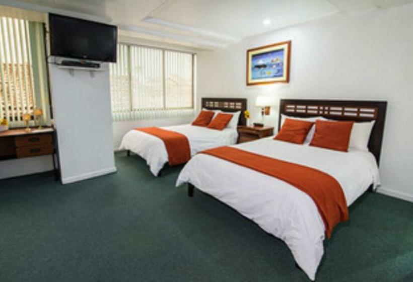 Номер Стандарт, Cordero