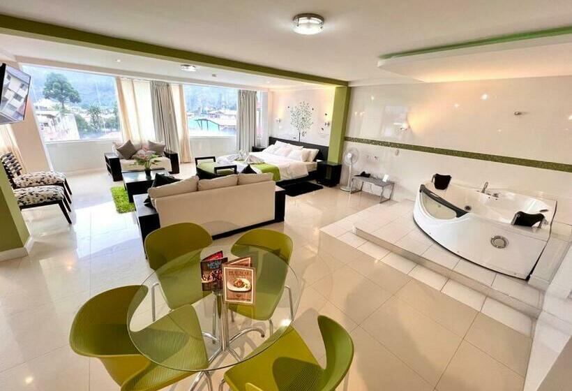 带大床的套房, Destiny