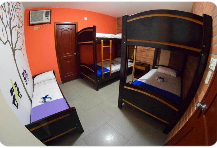 סוויטה משפחתית מוזלת, Olympus