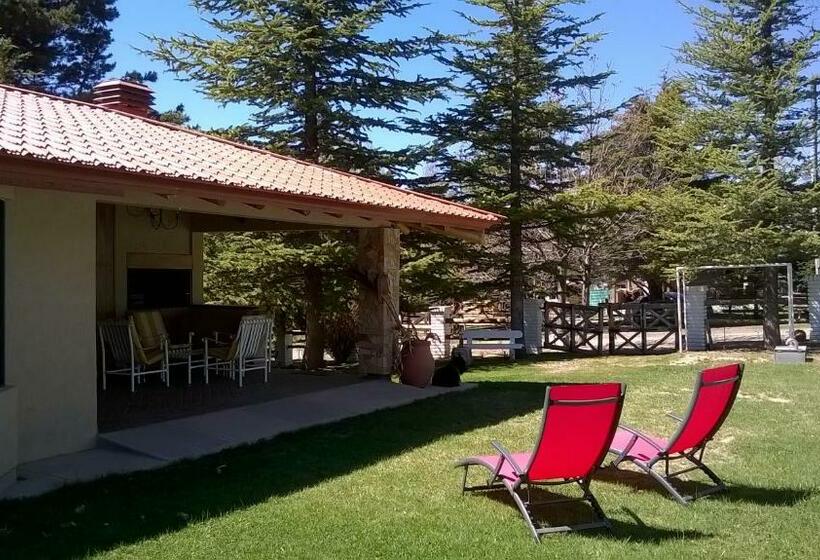 جناح سرير كينج, Silvercord B&b