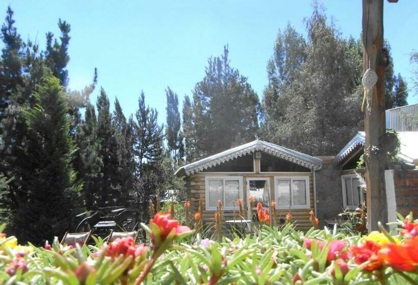 غرفة قياسية, Silvercord B&b