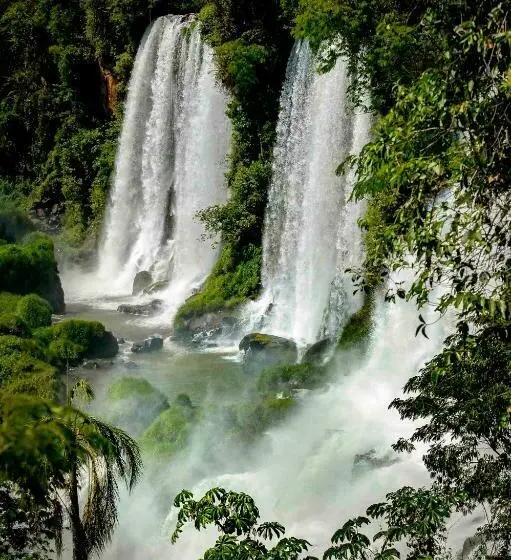 デラックスルーム, Secret Garden Iguazu