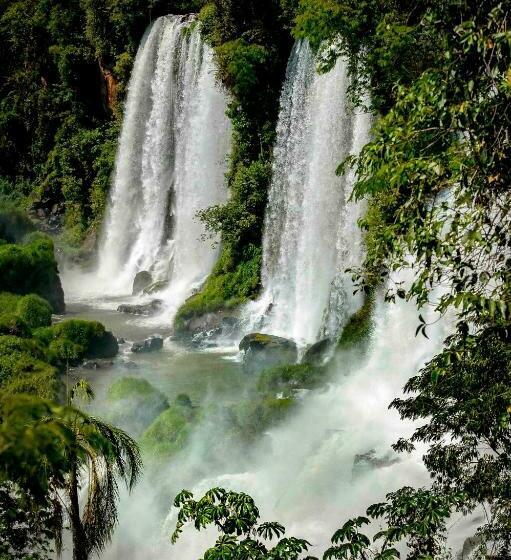 Номер Deluxe, Secret Garden Iguazu