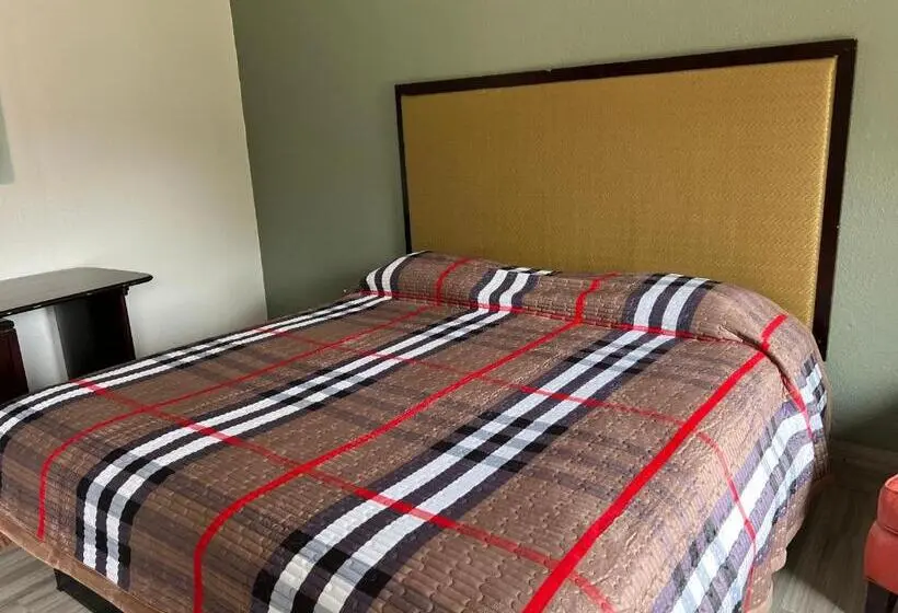 スタンダードシングルルーム, Comfort Stay Inn