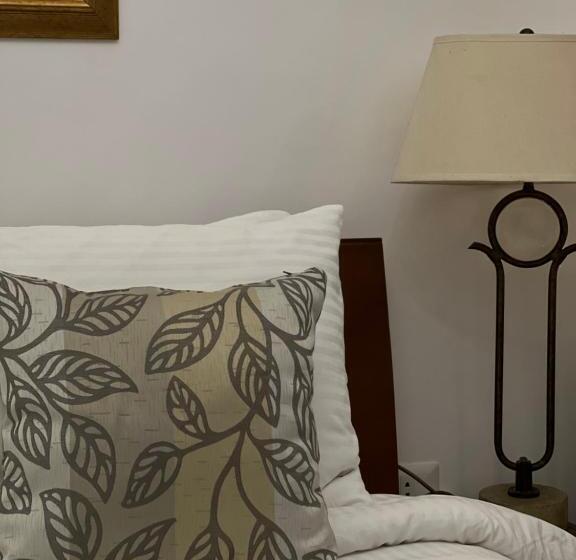 اتاق استاندارد یک نفره, Bonita Inn