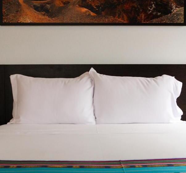 テラス付きスタンダードワンルーム, Casa Q