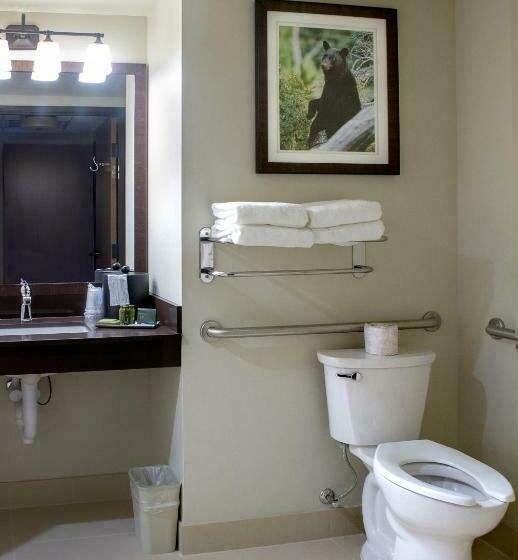 חדר סטנדרט מותאם לאדם עם מוגבלויות, Cedar Creek Lodge & Conference Center