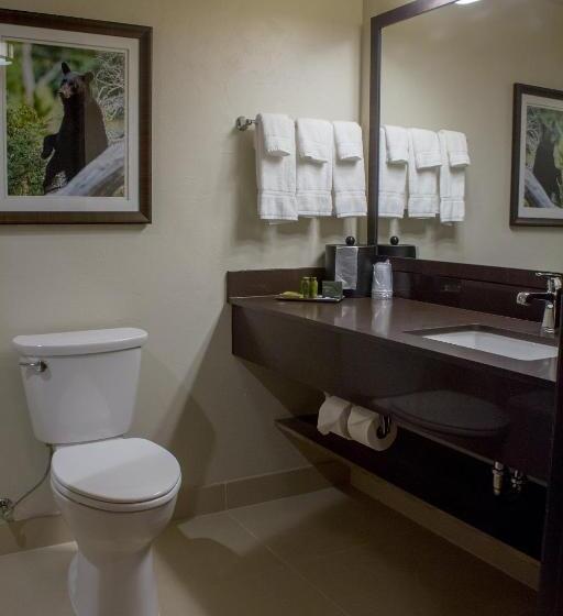 Номер Deluxe, Cedar Creek Lodge & Conference Center
