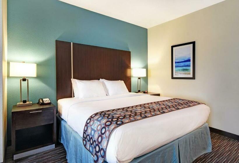 Стандартный Номер Кровать Кинг, Holiday Inn Galveston Island, An Ihg