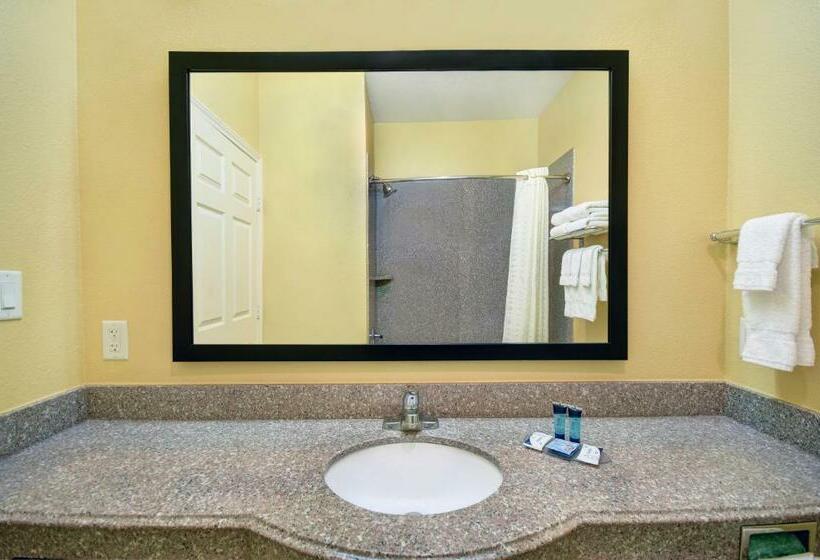 带大床的豪华间, Holiday Inn Galveston Island, An Ihg