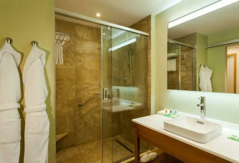 Standard-huone King-vuode, Grand Resort Jermuk
