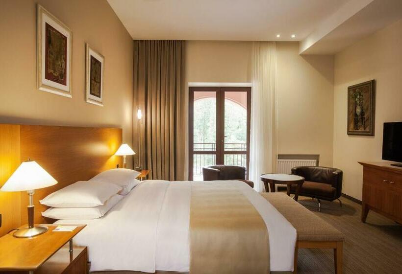 Президентский Люкс, Grand Resort Jermuk