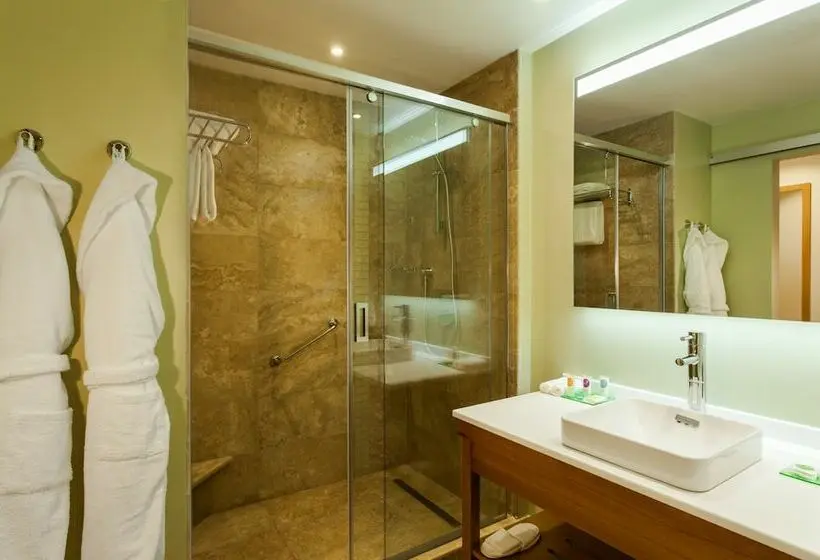Standard-huone, Grand Resort Jermuk