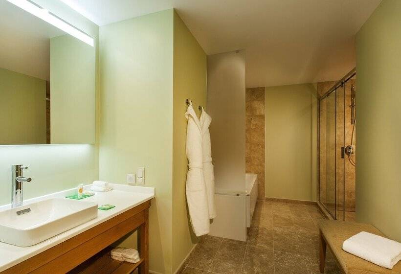 Президентский Люкс, Grand Resort Jermuk