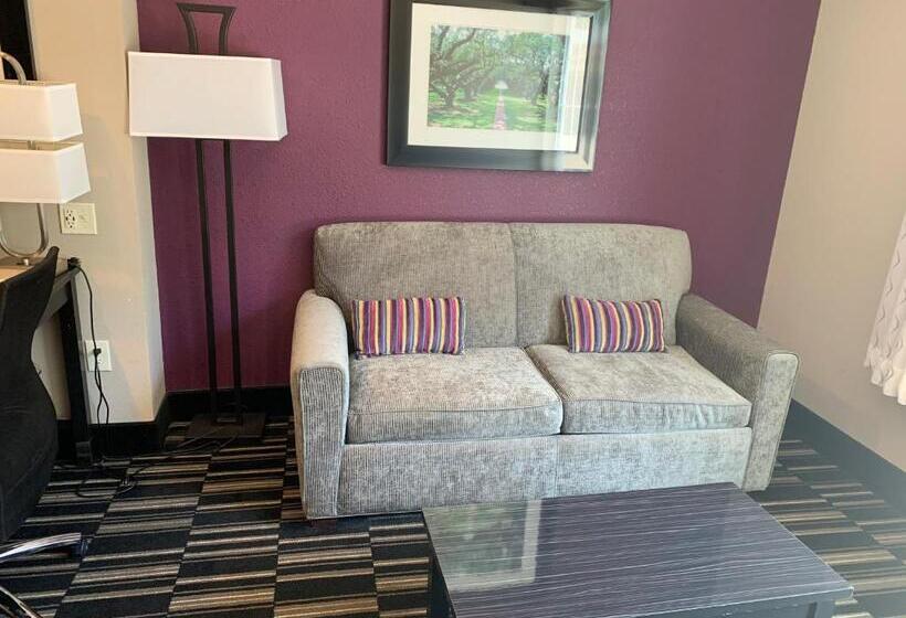 带大床的行政房间, La Quinta By Wyndham West Monroe