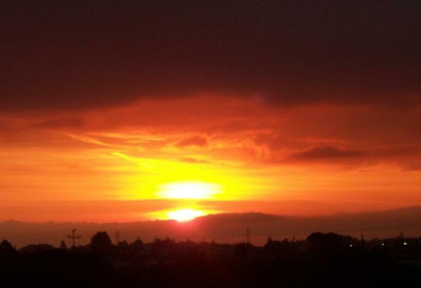 Номер Стандарт, Masseria Tolla