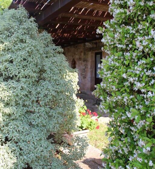 Классический Номер, Masseria Tolla