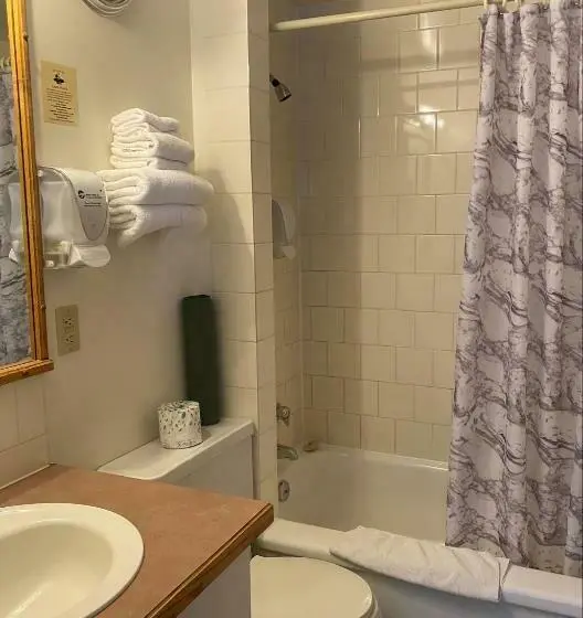 اتاق استاندارد با 2 تخت دوبل, Stork Nest Inn