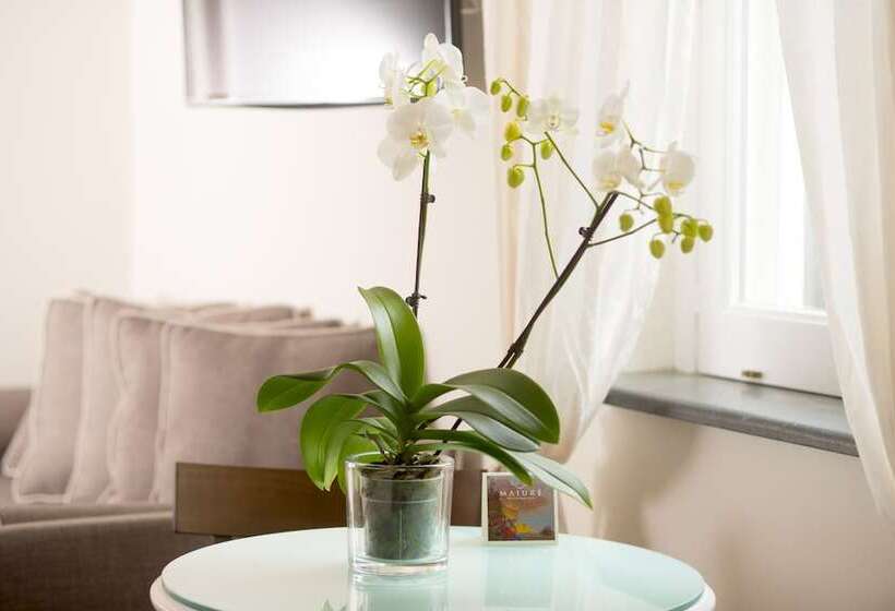 غرفة قياسية, B&b Maiure