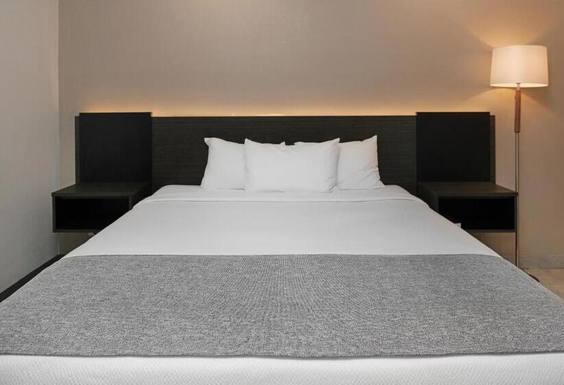 غرفة قياسية سرير كينج, Route 66 Motel