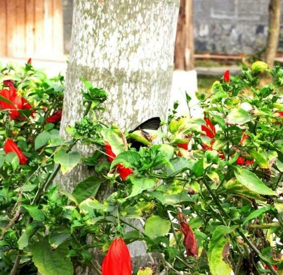 اتاق استاندارد, Whisper Nature Bungalow & Resort