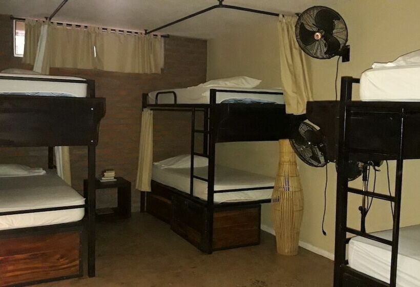 تختخواب در اتاق مشترک, Pachamama Hotel Hostel