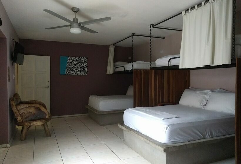 اتاق لوکس, Pachamama Hotel Hostel