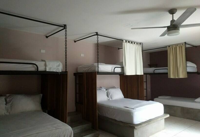 اتاق لوکس, Pachamama Hotel Hostel