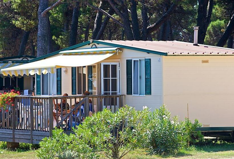 منزل غرفتين نوم, Arena Medulin Mobile Homes